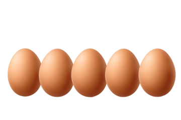 Illustration Five Brown Eggs in a Row Food and Protein Ingredient Healthy