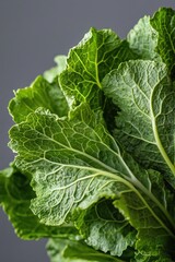 Fresh and crisp mustard greens, perfectly arranged, macro shot capturing fine details and textures, neutral backdrop