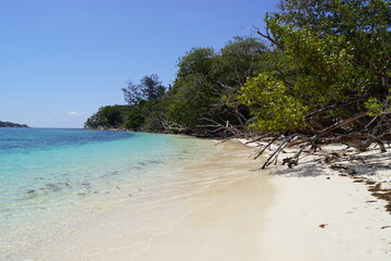 Anse Lazio and stunning paradise landscapes on Curieuse Island in the Seychelles, Africa