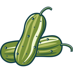 fresh cucumber zucchini gherkin vegetable in flat color block editable vector illustration
