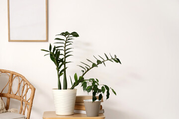 Green plants with books on table near light wall in room