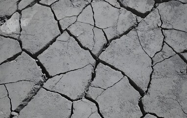 Obraz premium Cracked Dry Earth Texture Background Grey Monochrome
