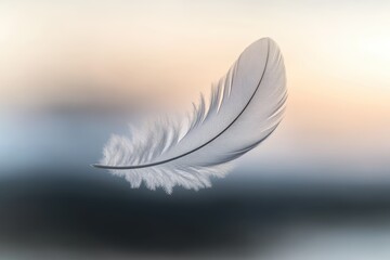 Obraz premium Floating feather captured in stunning detail against a soft blurred background at dusk