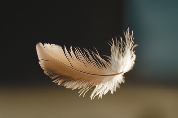 Obraz premium Close-up view of a delicate feather gently floating in the air captured in stunning 8K resolution