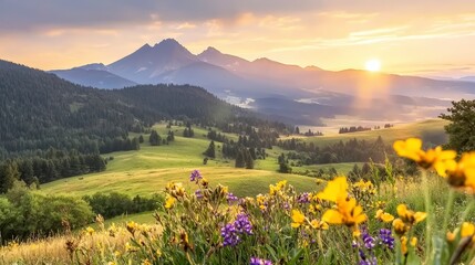 Obraz premium Sunrise Mountain Landscape Rolling Hills Wildflowers Golden Hour Photography