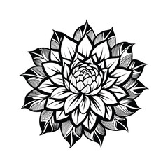 lotus flower isolated on white background