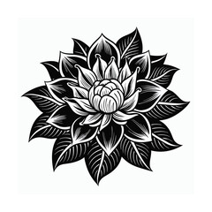 vector illustration of lotus flower
