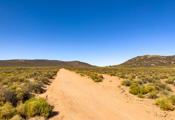 Arid landscape in the Namaqualand region of South Africa