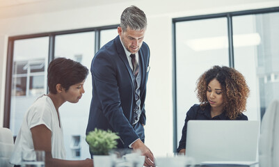 Laptop, teaching or business people brainstorming with mentor for teamwork, project funding or...