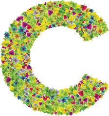 Vector colorful botanical garden fresh leaves font, letter C