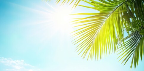 Obraz premium A vibrant sun shines through lush palm leaves against a clear blue sky, evoking a tropical paradise.