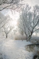 winter on the lake in the fog 