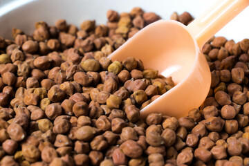 Closeup shot of Organic Brown Chickpeas in a scoop. Black chickpeas, also known as kala chana, Bengal gram,Egyptian pea.