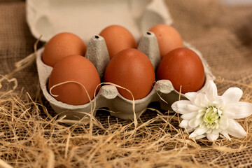Organic brown eggs in an egg carton. Eggs in a box on straw. Broken Egg