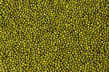 Flatlay of Green Moong Dal beans. The mung bean or green gram (Vigna radiata).
