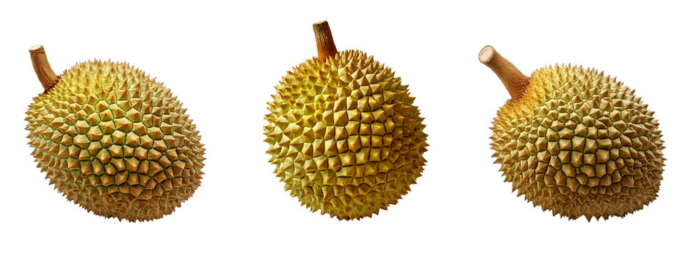 Durain on transparent background