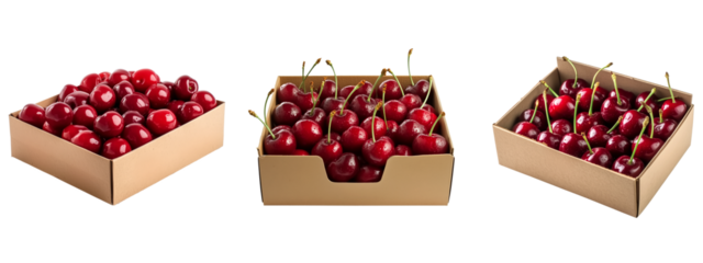 Sweet cherries in the box on transparent background