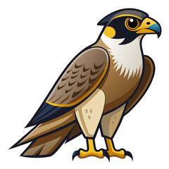 Fototapeta premium Stunning falcon vector illustration, perfect for digital designs, prints, and branding.