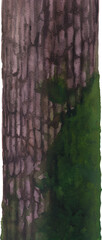 Realistic watercolor mossy tree trunk isolated on a white background