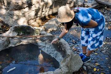 Thai woman travelers cooking boiling eggs in hot spring of Pa Tueng Hot Spring in Chiang Rai, Thailand