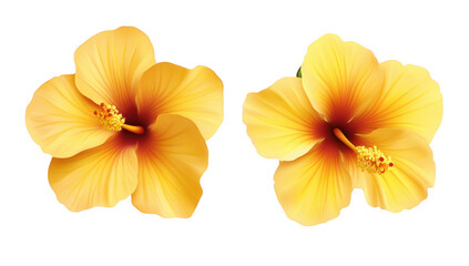 Obraz premium two vibrant yellow hibiscus flowers showcasing their intricate petals and contrasting red centers ideal for decorative purposes or floral designs