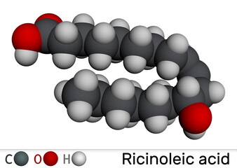 Coenzyme A, CoA, SHCoA, CoASH molecule. Essential coenzyme in fatty acid metabolism and the Krebs cycle, citric acid cycle. Molecular model. 3D rendering.