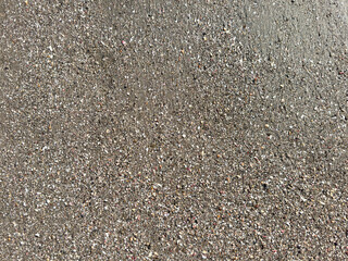 Shell stone on brown wet sand