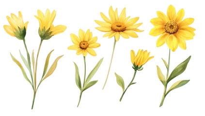 collection of five yellow flowers showcasing various types and arrangements emphasizing their vibrant colors and natural beauty ideal for floral designs or nature-themed projects