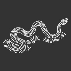 Vipera Berus Snake Illustration on Dark Background