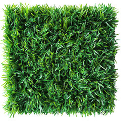 Obraz premium Artificial Grass Patch with Dense Green Blades 