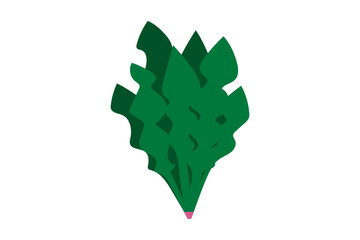 ホウレンソウのイラスト