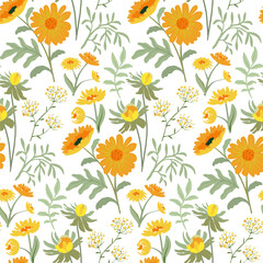 Vector seamless pattern with blooming meadow. Bright endless background with colorful wildflowers forget-me-nots, chamomile, daisies.