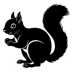 Obraz premium Squirrel Animal Vector Graphic Design File