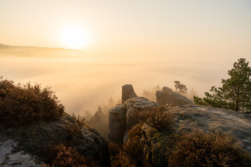 Aufstieg zur Gamrigaussicht, Sächsische Schweiz, Sonnenaufgang, Golden Hour 32