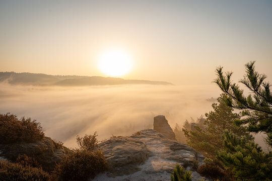 Aufstieg zur Gamrigaussicht, S&auml;chsische Schweiz, Sonnenaufgang, Golden Hour 28