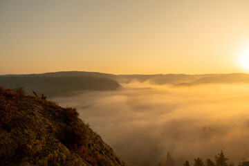 Aufstieg zur Gamrigaussicht, Sächsische Schweiz, Sonnenaufgang, Golden Hour 25