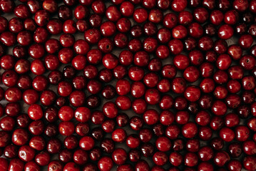 A multitude of small red berries, cherries, and sweet cherries, fill the frame. The glossy surface of the berries reflects light, creating a bright texture and contrast against the dark background.