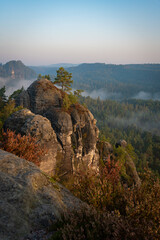 Aufstieg zur Gamrigaussicht, S&auml;chsische Schweiz, Sonnenaufgang, Golden Hour 22
