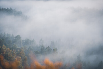Obraz premium Aufstieg zur Gamrigaussicht, Sächsische Schweiz, Sonnenaufgang, Golden Hour 19