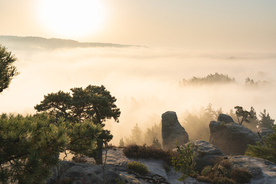Aufstieg zur Gamrigaussicht, S&auml;chsische Schweiz, Sonnenaufgang, Golden Hour 11