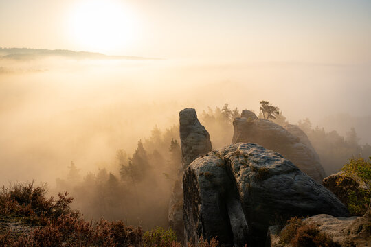 Aufstieg zur Gamrigaussicht, S&auml;chsische Schweiz, Sonnenaufgang, Golden Hour 7