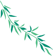 Willow leaves during Qingming Festival