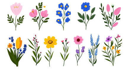 Watercolor wildflowers and leaves illustration set isolated on white