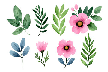 Watercolor wildflowers and leaves illustration set isolated on white