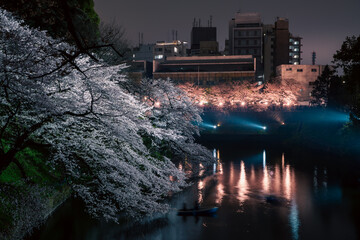 千鳥ヶ淵の夜桜