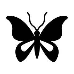 butterfly silhouette on a white background 