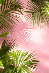 Fototapeta premium Palm leaves with soft shadows on pastel backgrounds for natural summer themes, wellness branding, and tropical design projects