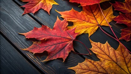 Autumn maple leaves on a dark wooden surface, showcasing seasonal beauty.
