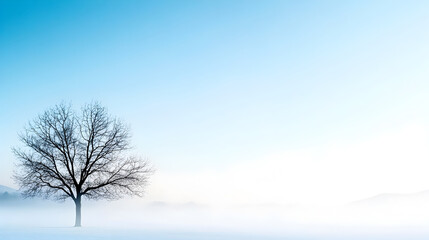 Frost-covered tree standing in misty winter morning, surrounded by soft blue hues. Perfect for nature photography, winter-themed prints, and serene backgrounds. Selective focus
