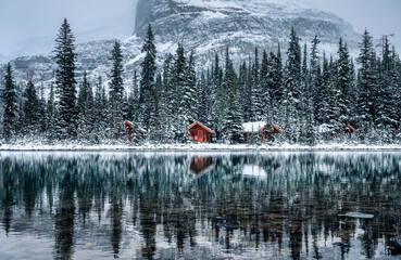Wooden lodge in pine forest with heavy snow reflection on Lake O'hara at Yoho national park